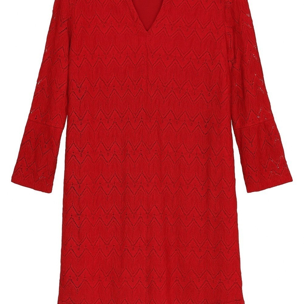 NWT Style & Co Scarlet Lace Dress Large Dark Feminine Romantic Goth MSRP $55